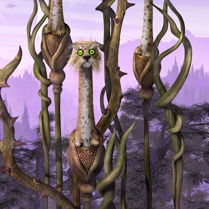 Silhouette of a hiker at sunset