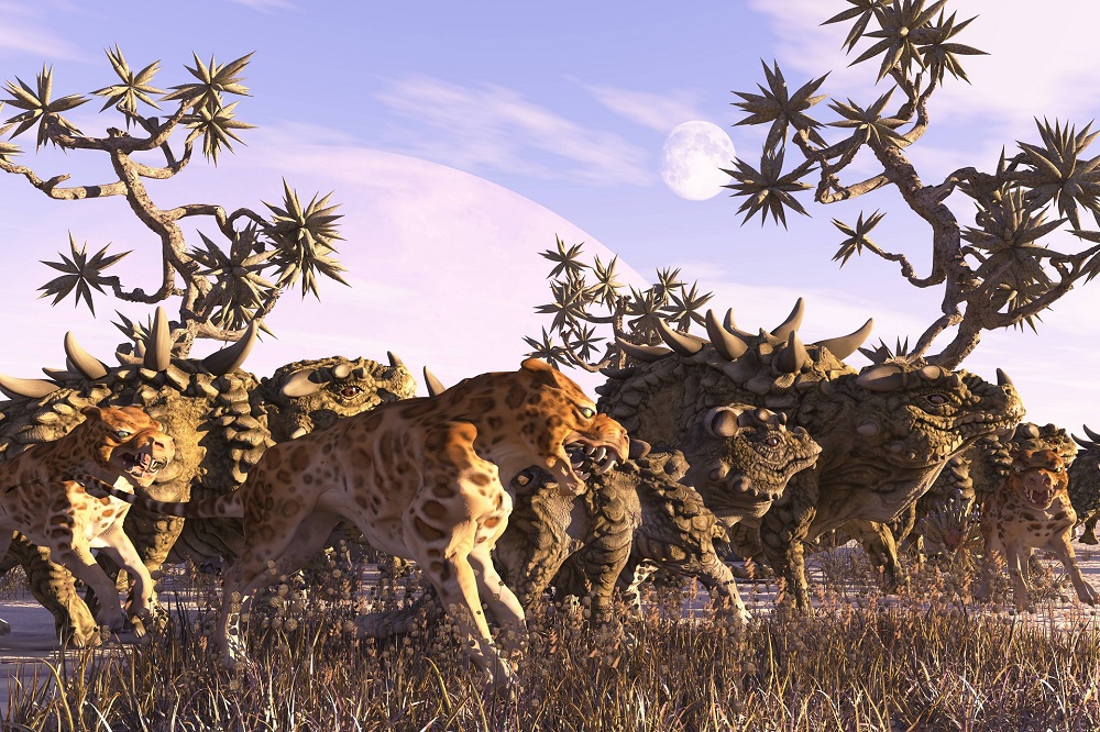 Hiker crossing a rocky stream